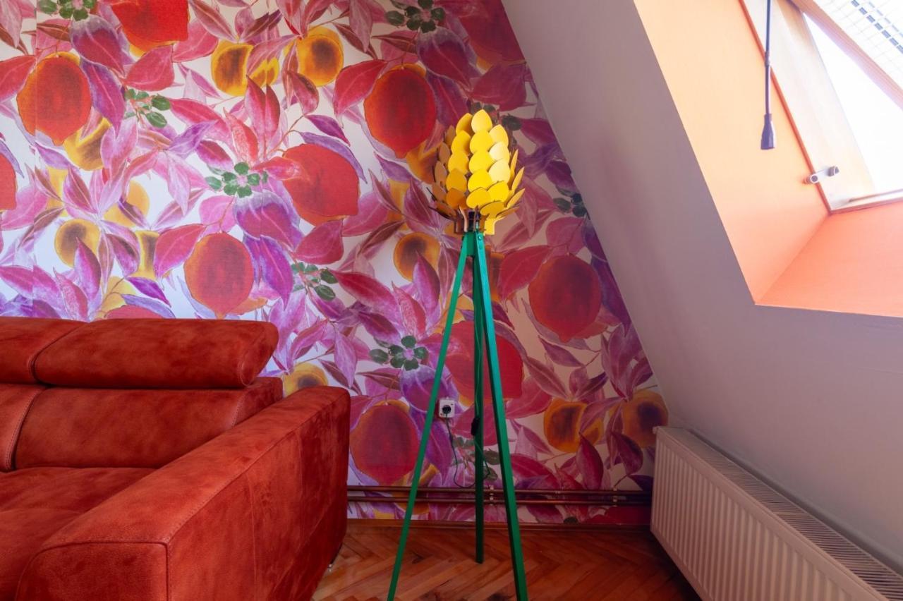 Apartment Amore Mio Golubac Exteriör bild