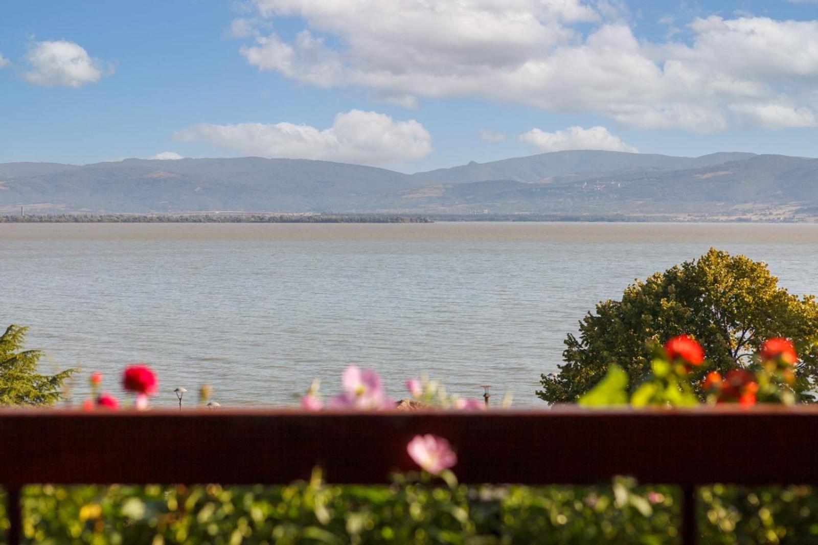 Apartment Amore Mio Golubac Exteriör bild